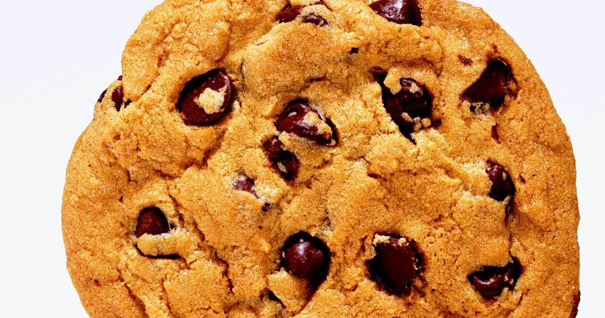 Shell Shock Serenade Melancholy, Chocolate Chip.(Today's Special)