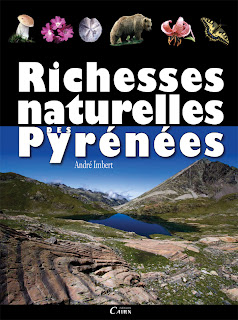 diaporama sur l'Histoire géologique des Pyrénées  Samedi 23 fevrier 2013