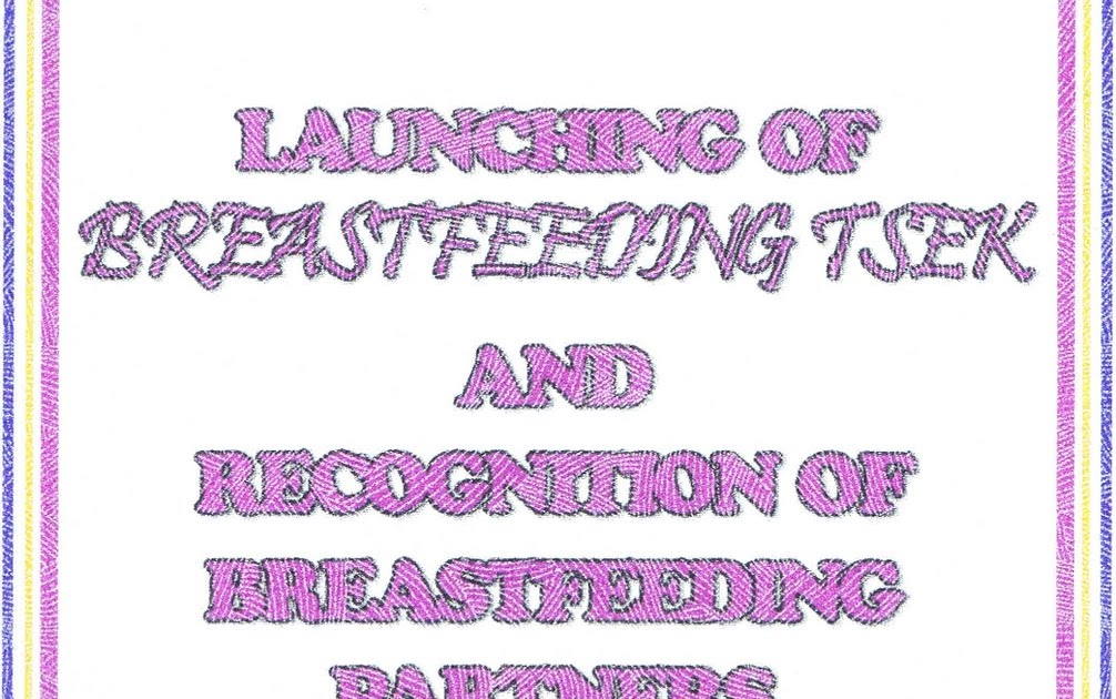 Chronicles of a Nursing Mom Breastfeeding TSEK Launched!