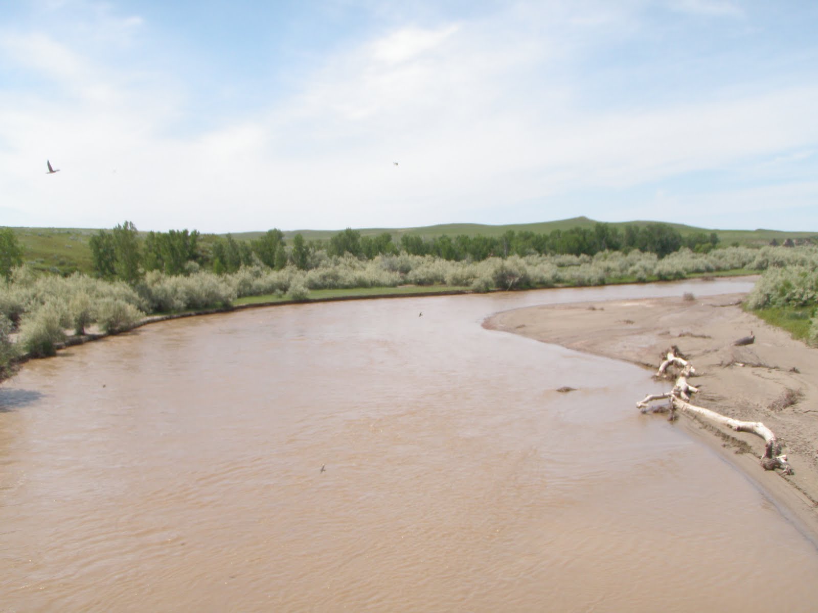 Lone Rider Pedals Ashland, MT to Broadus, MT 44 miles