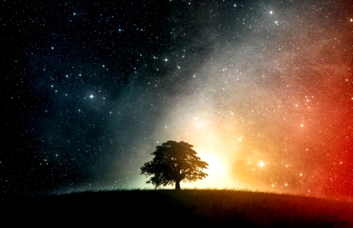 night stars tree wallpaper night stars tree wallpaper