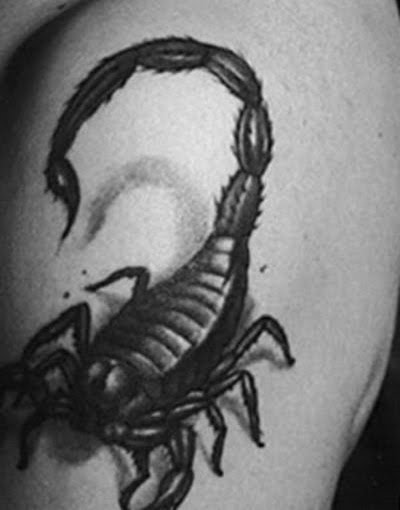 Scorpion Tattoos Design