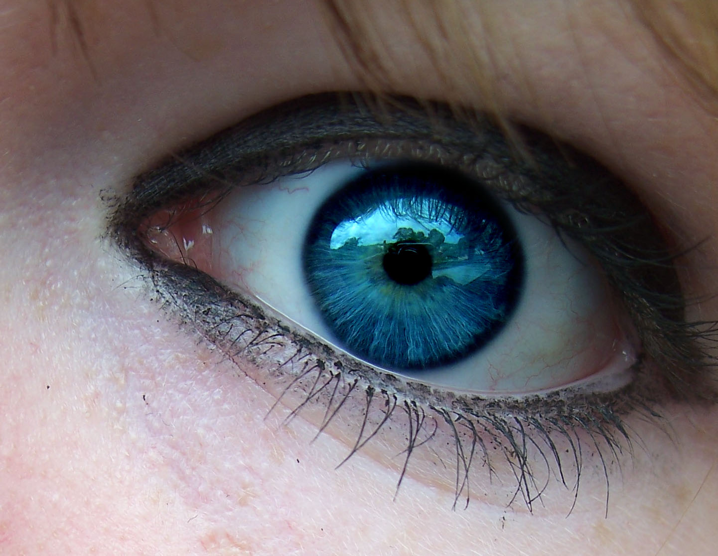 light blue eyes with dark hair