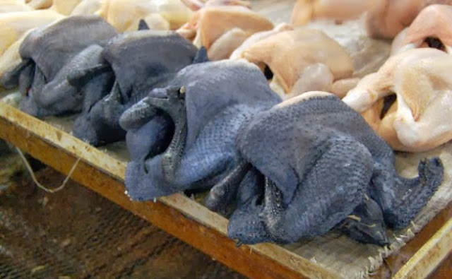 Americanos ficam chocados com mercado que vende galinhas afrodescendentes assadas
