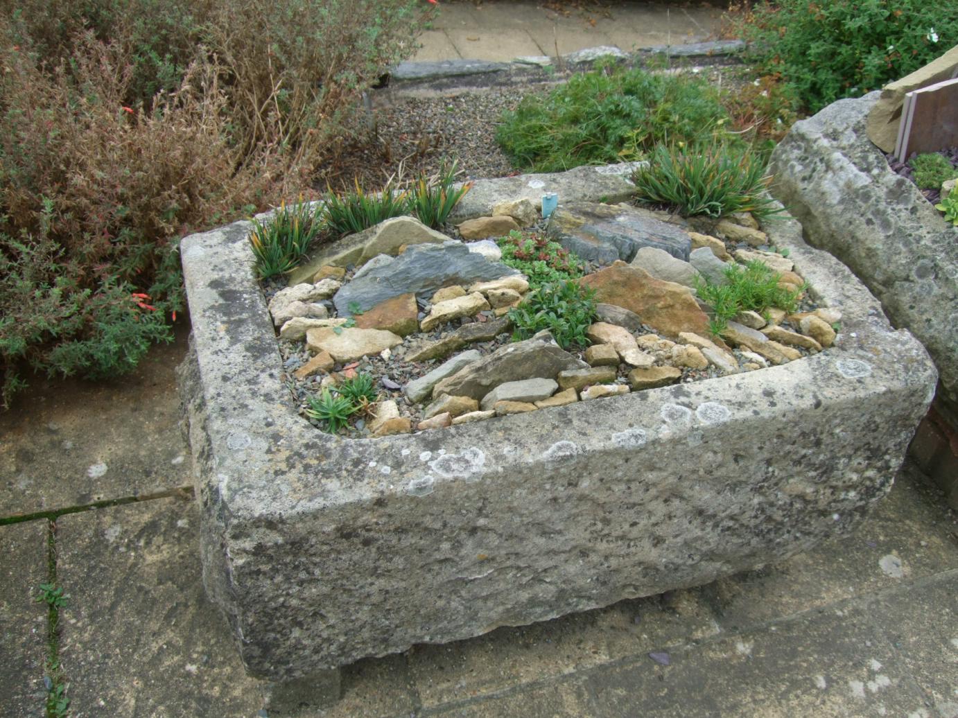 Alternative Eden Exotic Garden Alpine Troughs, Miniature Gardens