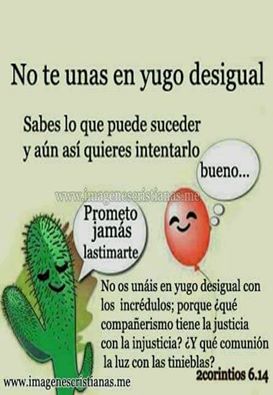 yugo desigual