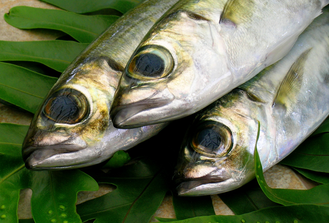 Tasting Hawai'i With Moloka'i Chef James Temple Hawaiian "AKULE" fried