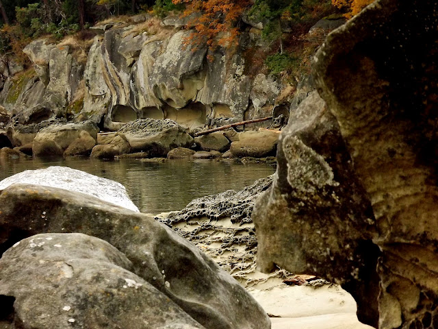 Sandstone beach details  (2012-10-17)