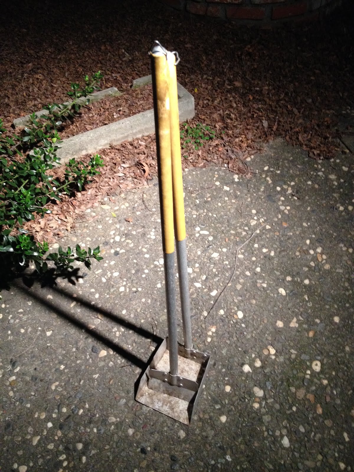 Good Economic/Ecological Practices for Consumers New Best Way to