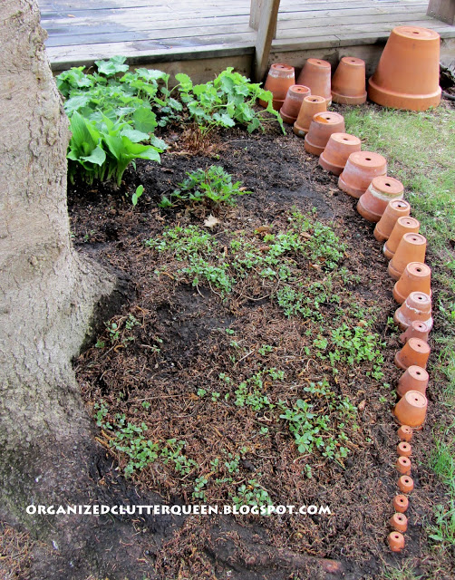 Planting Under a Spruce Tree Another Terra Cotta Pot Edging