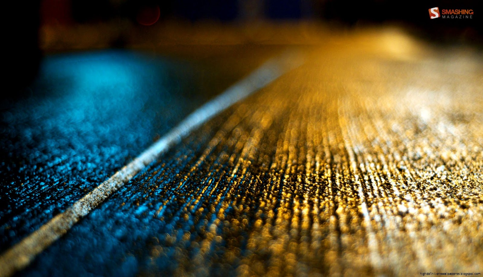 Macro Photography Macro Photography