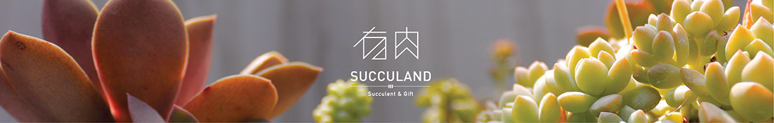 有肉 Succulent & Gift