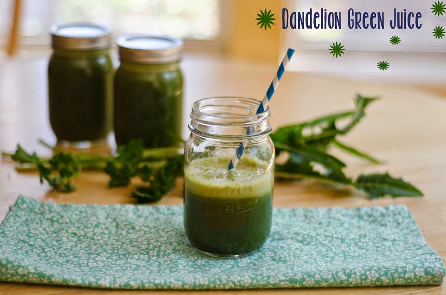 LittleOwlCrunchyMomma Delicious Dandelions (A Recipe RoundUp)