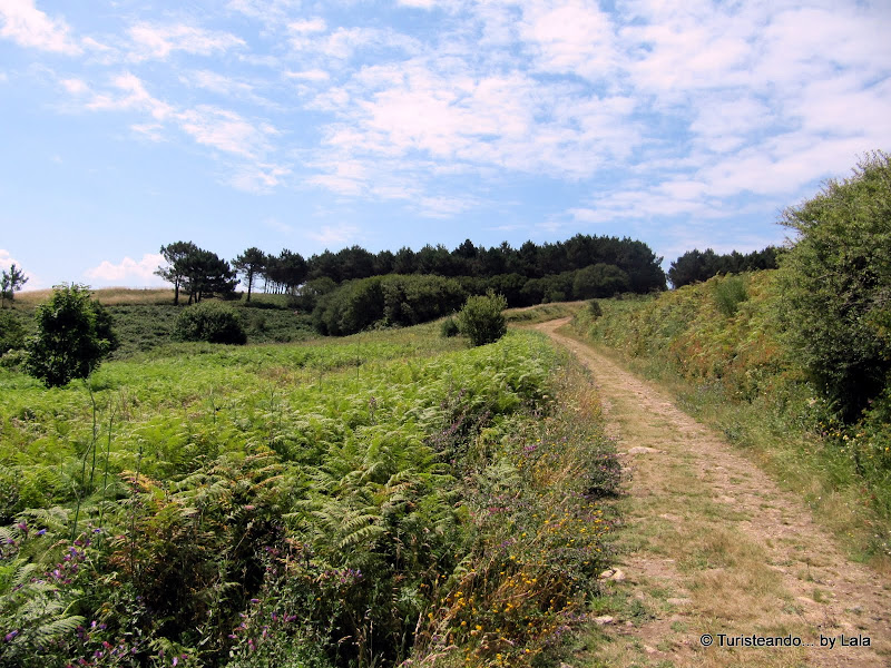 Rutas Senderismo Ons