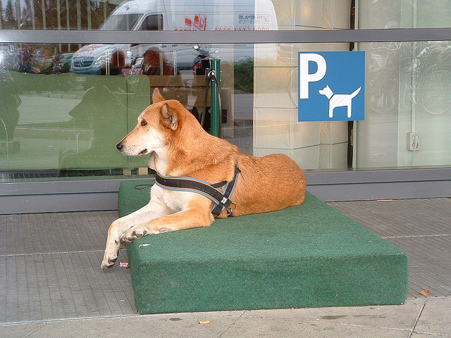 Ikea tem estacionamento para cachorros