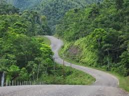 Remaxvipbelize: Belize road side nature 
