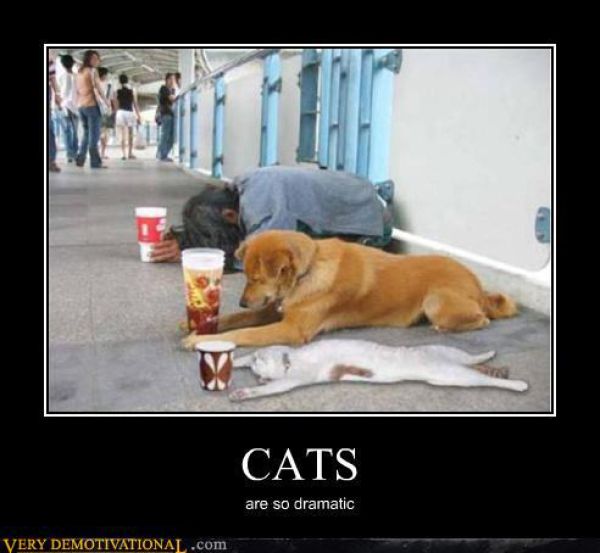 Funny Demotivational Posters - Part 30