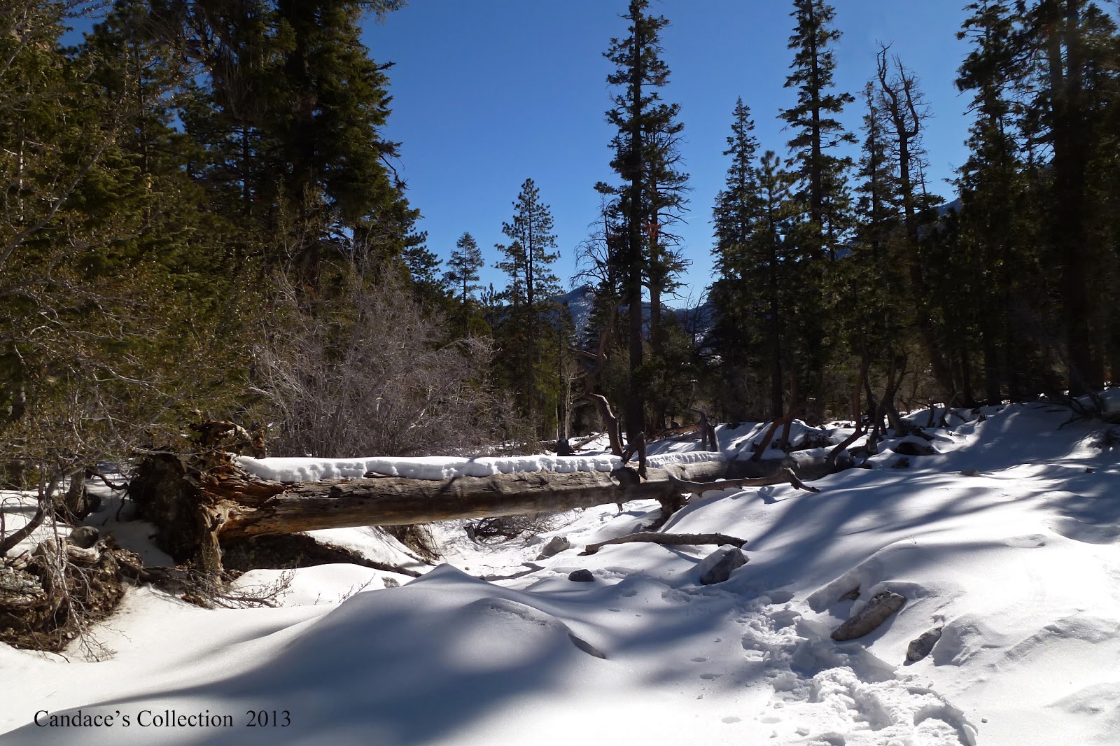 Around The Bend Friends Mt Charleston Area Update 1 13