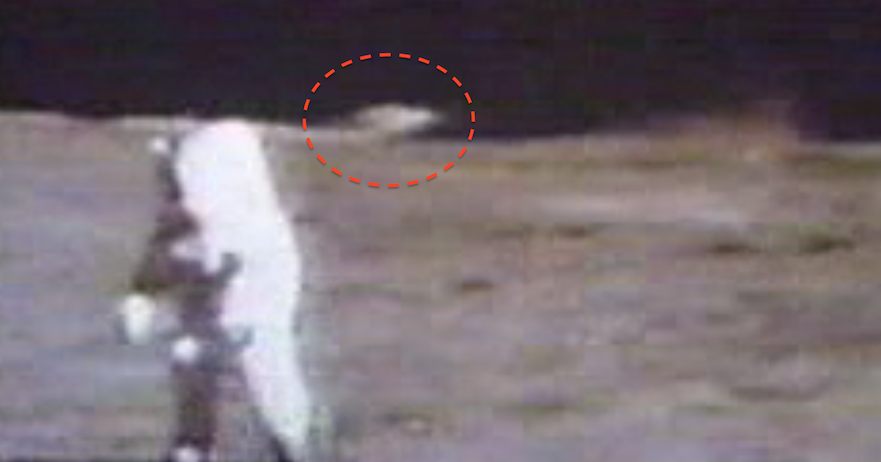 UFO SIGHTINGS DAILY: UFO Recorded landed on surface of moon in Apollo