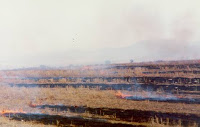 Ψήφισμα Δημοτικού Συμβουλίου για να σταματήσουν άμεσα οι καύσεις γεωργικών υπολειμμάτων xalastraradio.gr