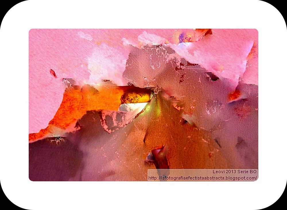 Foto Abstracta 3220 Bajo un cielo de pétalos de rosa - Under a sky of rose petals Foto Abstracta 3220 Bajo un cielo de pétalos de rosa - Under a sky of rose petals