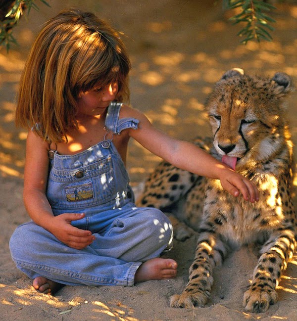 Breathtaking Photos Of A Little Girl 'Tippi' Growing Up Alongside Wild Animals in Southern Africa. Breathtaking Photos Of A Little Girl 'Tippi' Growing Up Alongside Wild Animals in Southern Africa.