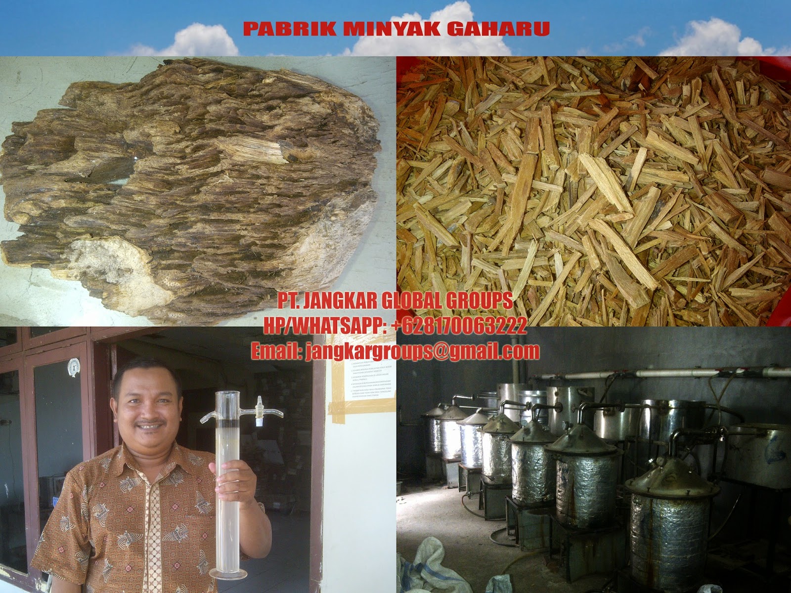 pabrik minyak gaharu agarwood jangkar groups pabrik minyak gaharu agarwood jangkar groups