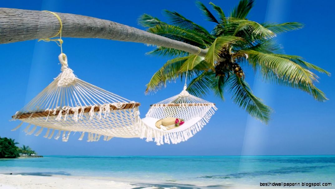 Tropical Island Screensaver Tropical Island Screensaver