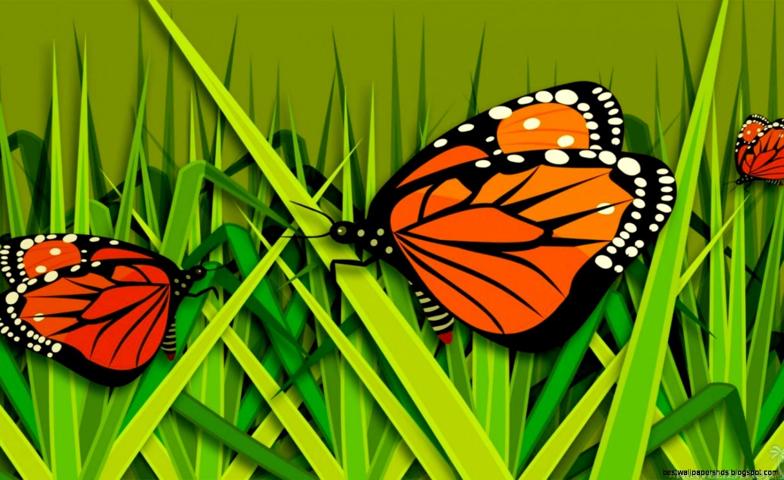 Butterfly On Grass Butterfly On Grass