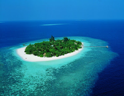 ماذا تعرف عن جزر المالديف 1229967318_Maldive+Bathala