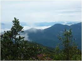 S O S Malaysia Banjaran Gunung Hutan Sungai Di Malaysia