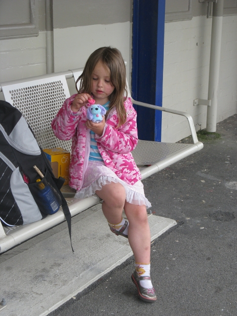 Gymnastics And Cheerleading