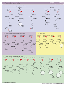 Nước mắm cao đạm ngon và sạch - 1