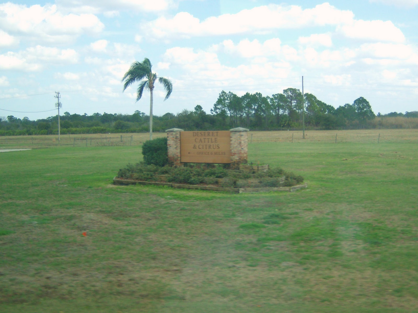 Our life in Ag Young Farmers and Ranchers