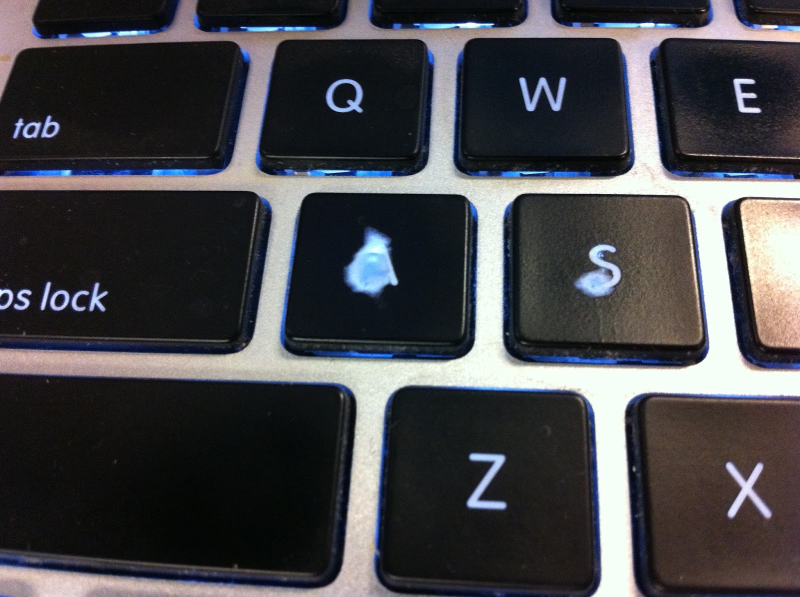 Scotty Watty Doodle All The Day Wearing Down The Keys