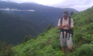 Размещенное изображение