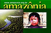 http://www.amazonia.org.br/