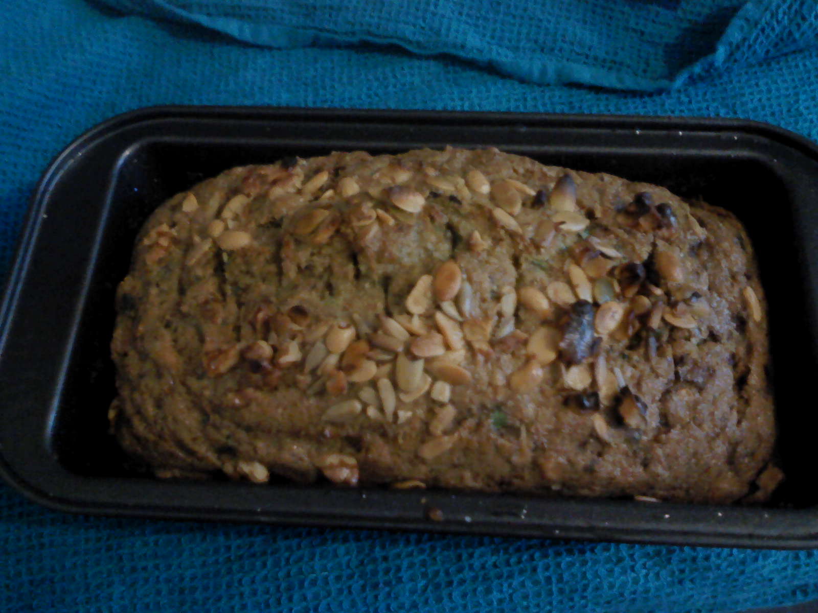 Candida Recipes and Advice Candida freindly coconut flour Bread!