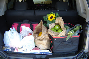 America stowed in the back of our car