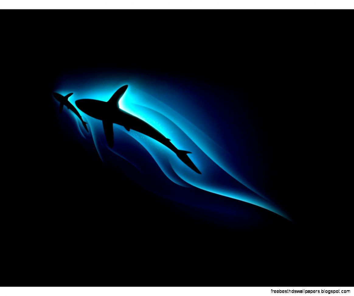 Cool 3D Wallpaper Shark Cool 3D Wallpaper Shark