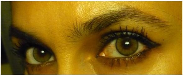 lame ve dore blogger