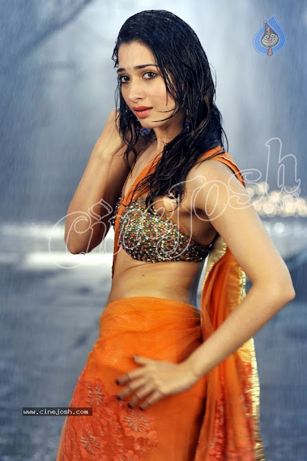 Tamanna Wet Saree Pics - Navel Show - HOT SOUTH MALLU ACTRESS PHOTO - Famous Celebrity Picture 