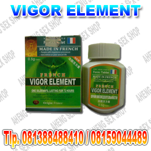 vigor+element1.JPG
