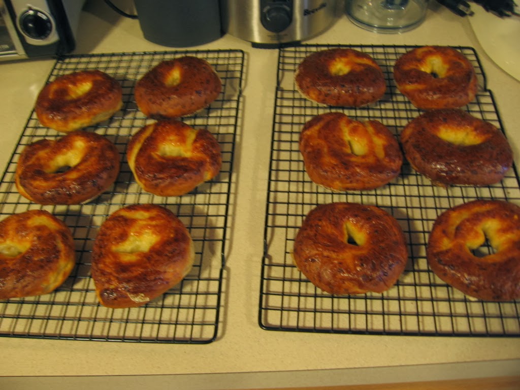 Deceptively Healthy Onion Bagels