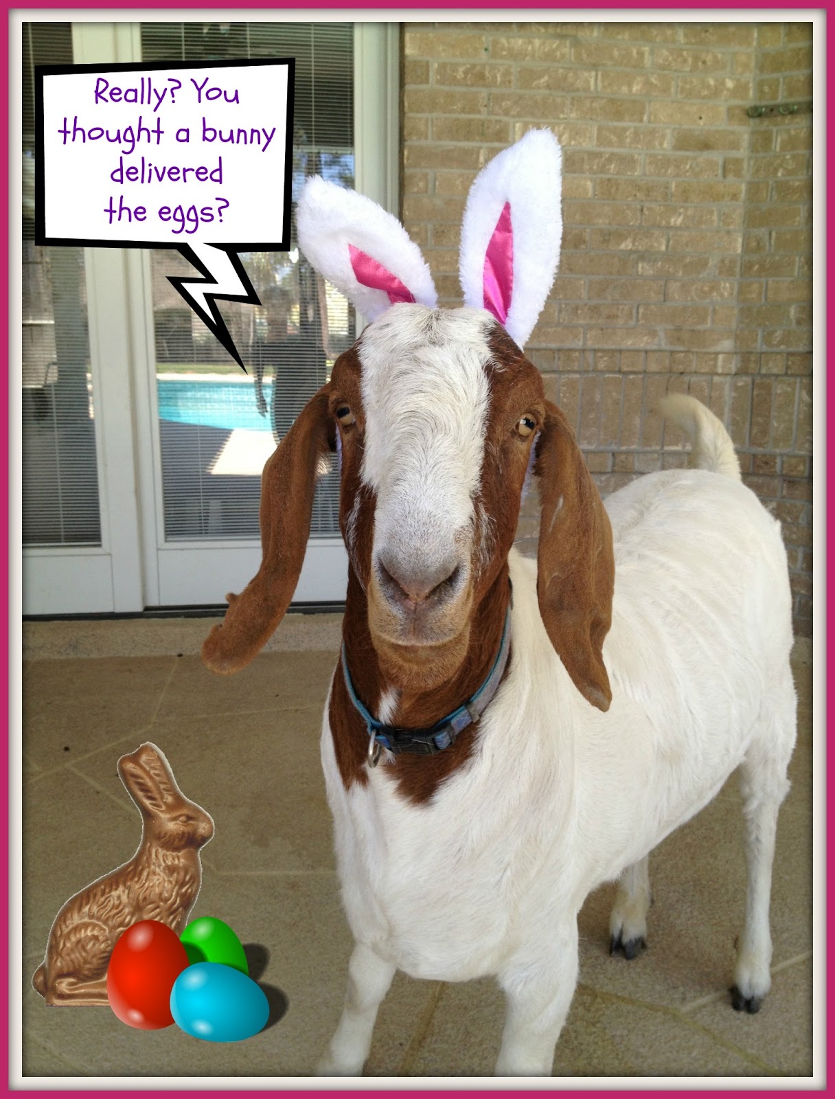 Crafty in Crosby Gus the Bunny Goat