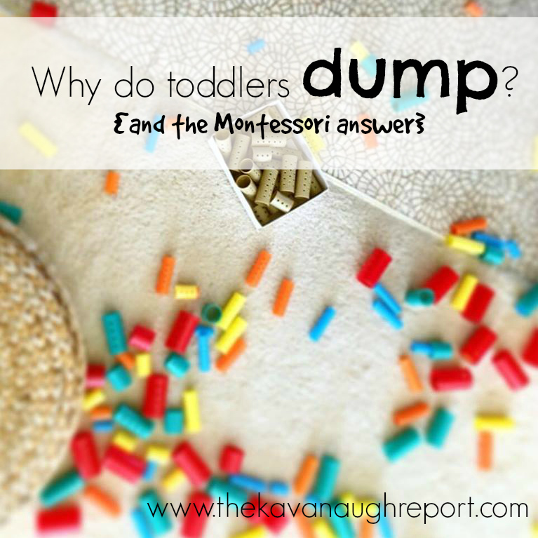 Toddlers & Dumping Why do Toddlers Dump Everything?