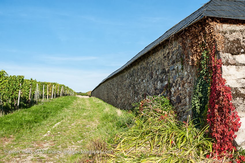 Suchergebnisse Weinrallye