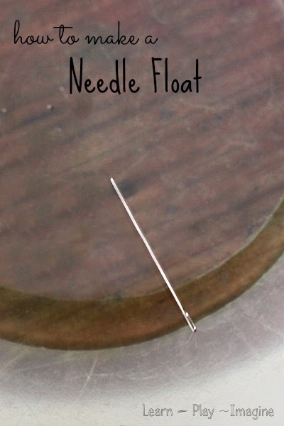 How to Make a Needle Float ~ Summer Science Experiments for Kids {Weekend Links} from HowToHomeschoolMyChild.com