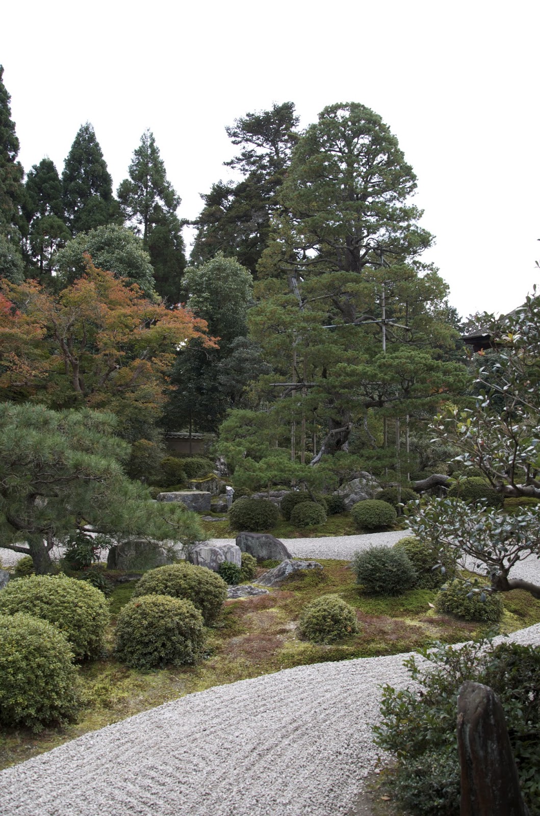 Robert Ketchell's blog: Ponds in the Japanese Garden