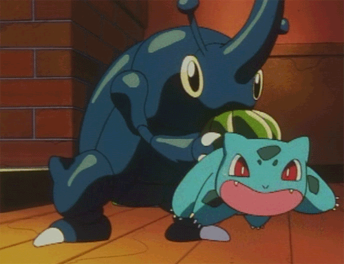 pokemon-gif-heracross-suck.gif
